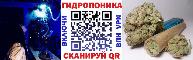 нарко площадка клад  Харабали  Каннабис сатива  что такое  