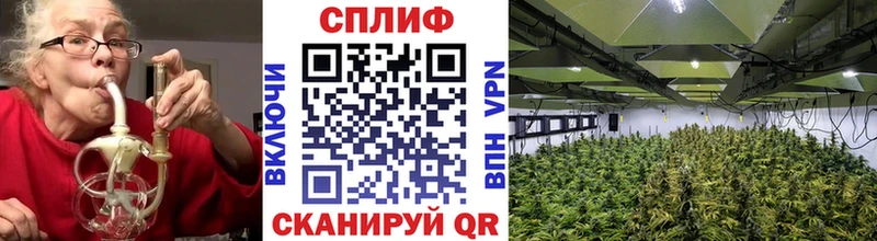 Шишки марихуана конопля Харабали